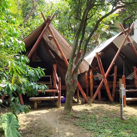 Bambu Glamping Ecolodge Medellín Dış mekan fotoğraf