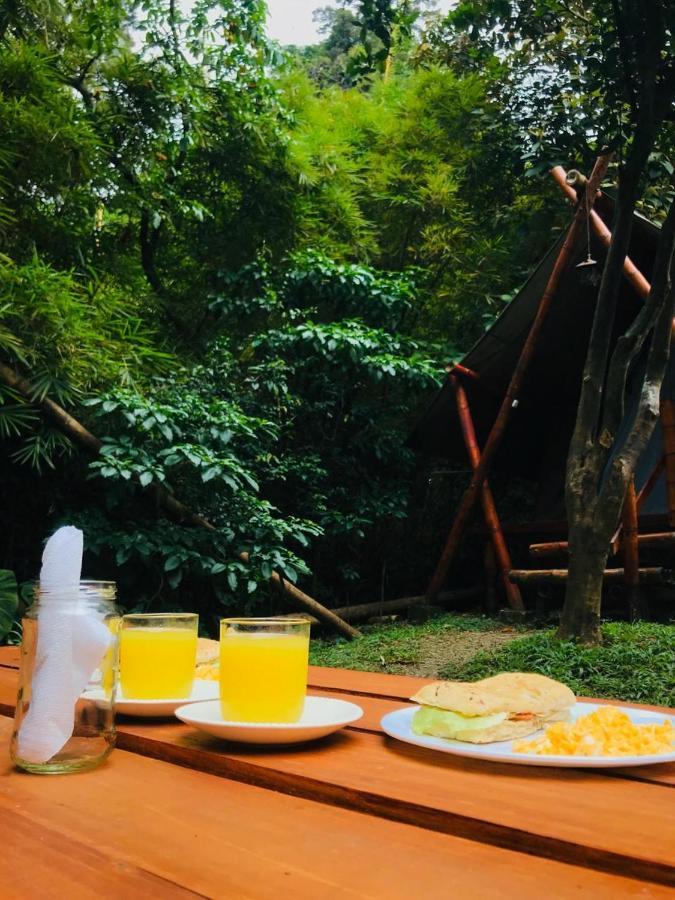 Bambu Glamping Ecolodge Medellín Dış mekan fotoğraf