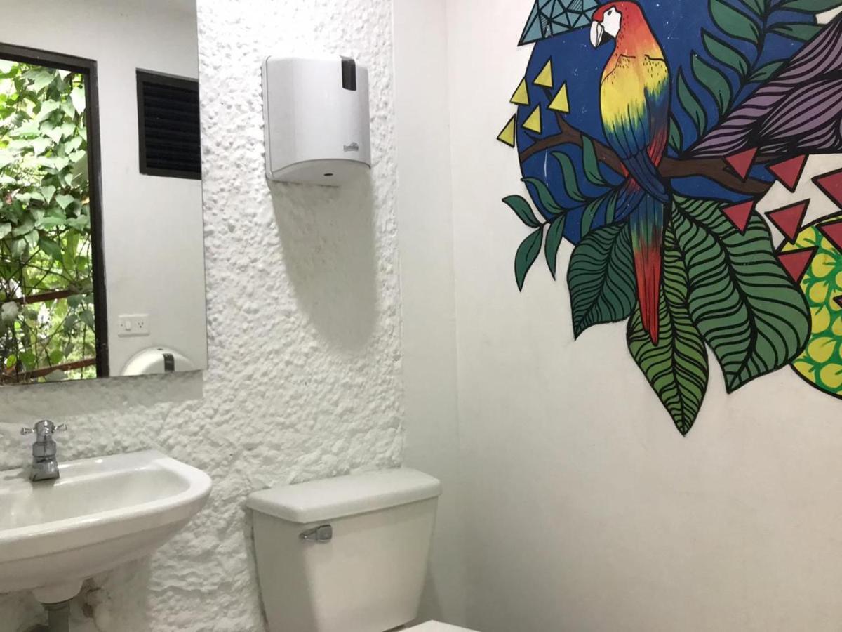 Bambu Glamping Ecolodge Medellín Dış mekan fotoğraf